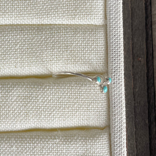 Canyon Ring