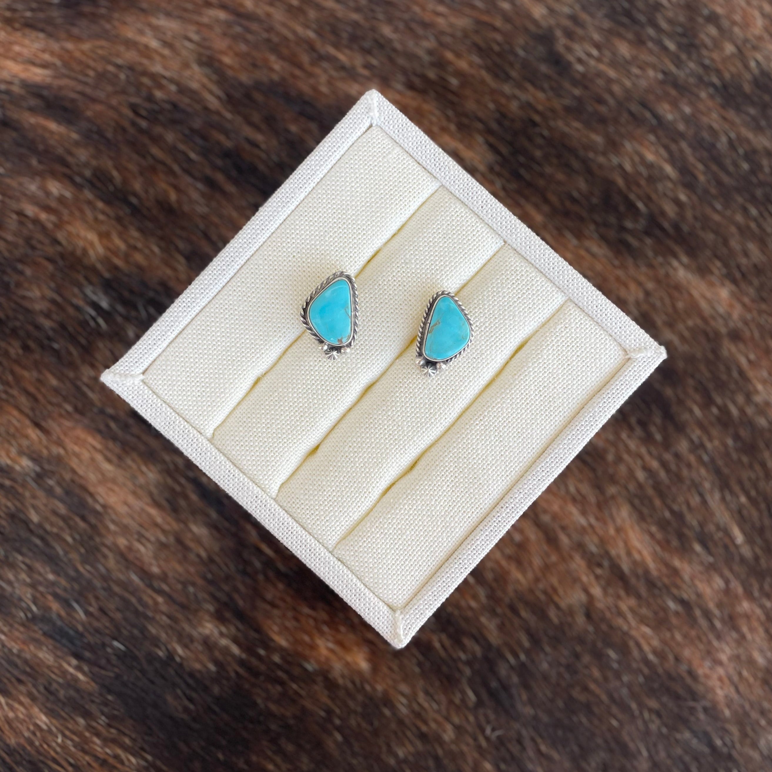 Turquoise Horizon Earrings