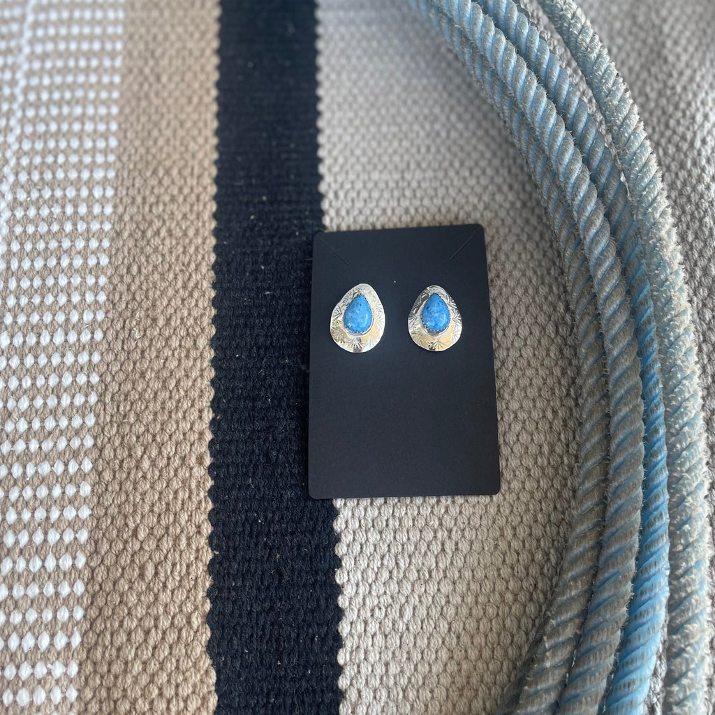 Wild Sky Earrings