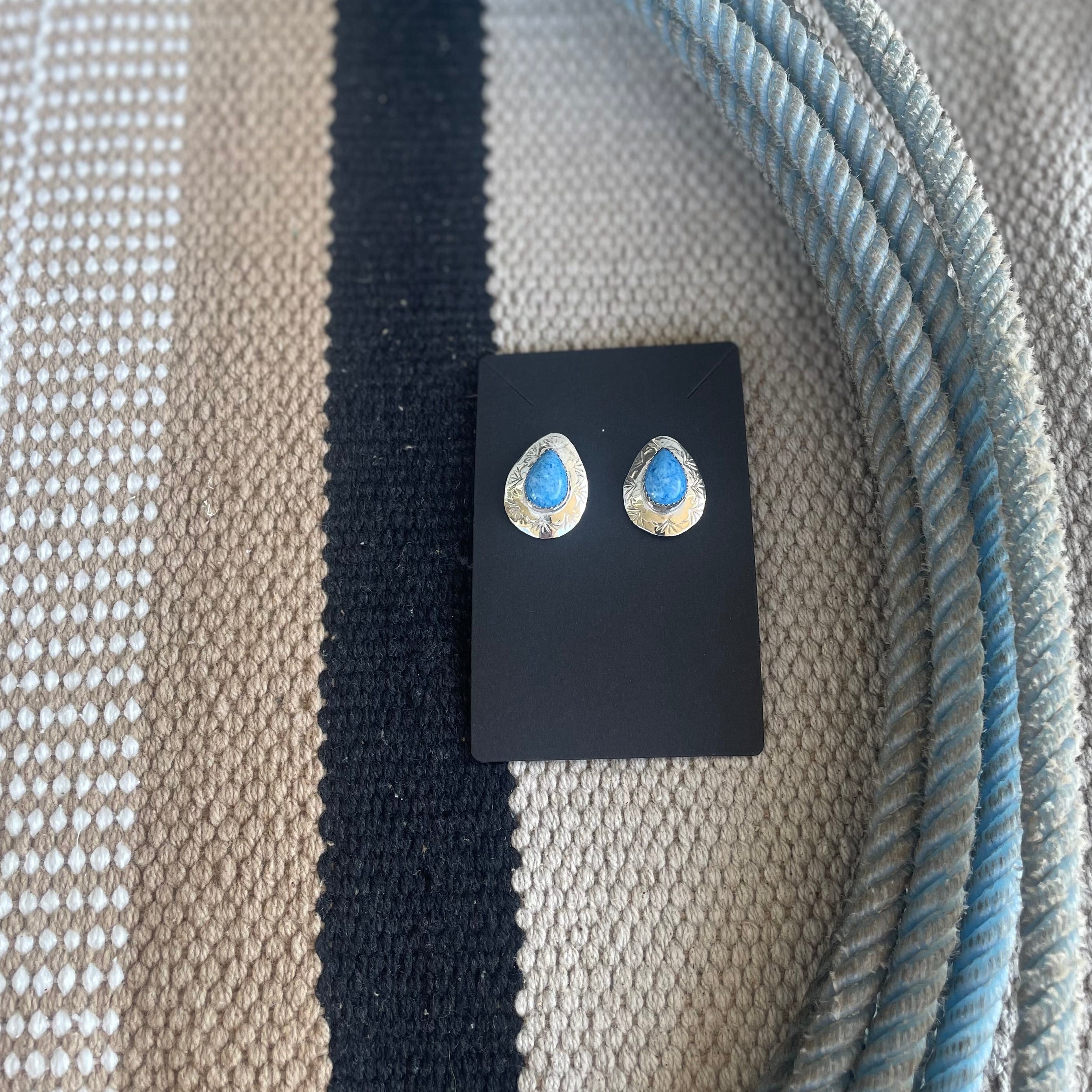 Wild Sky Earrings