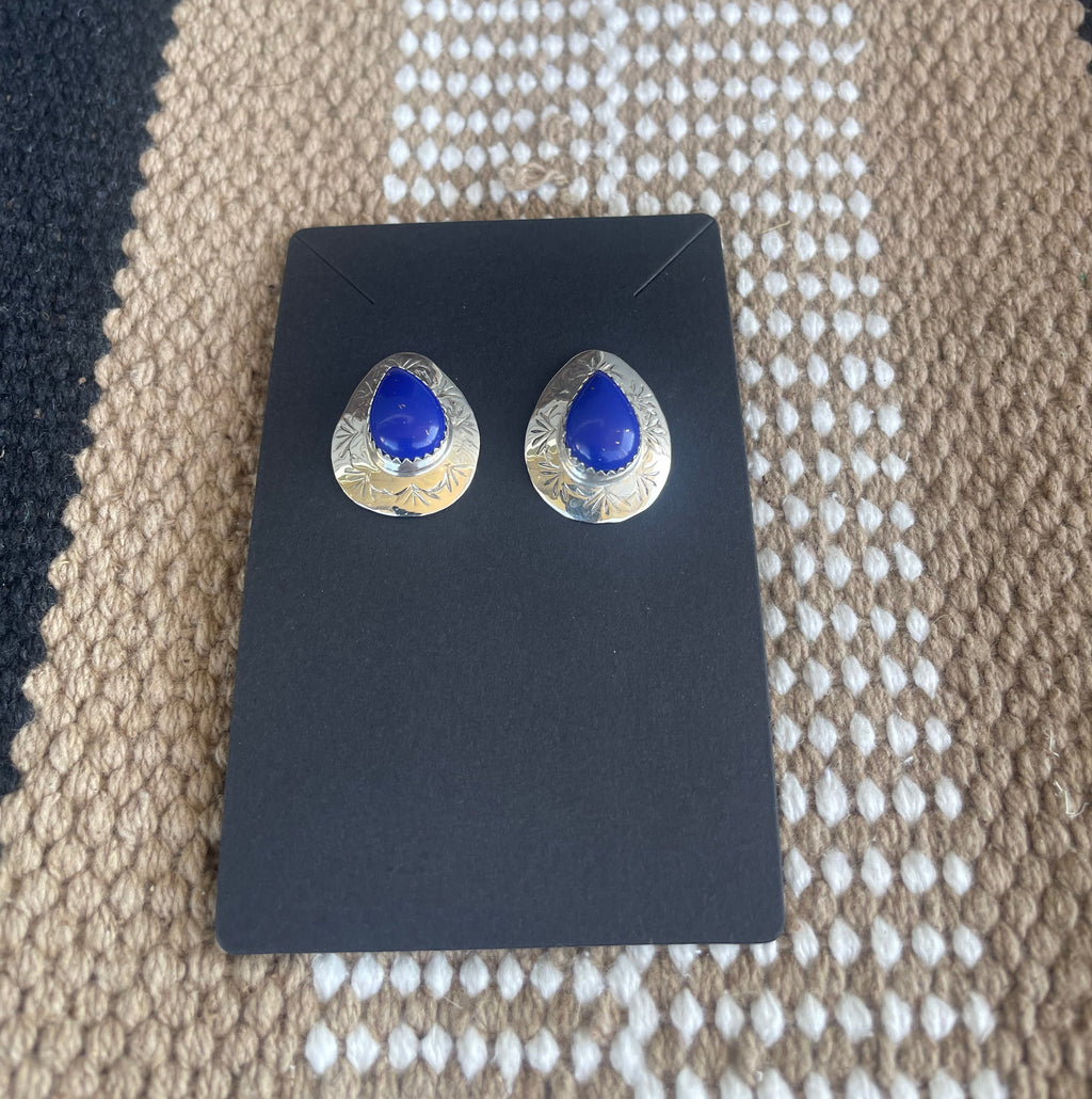 Midnight Mesa Earrings