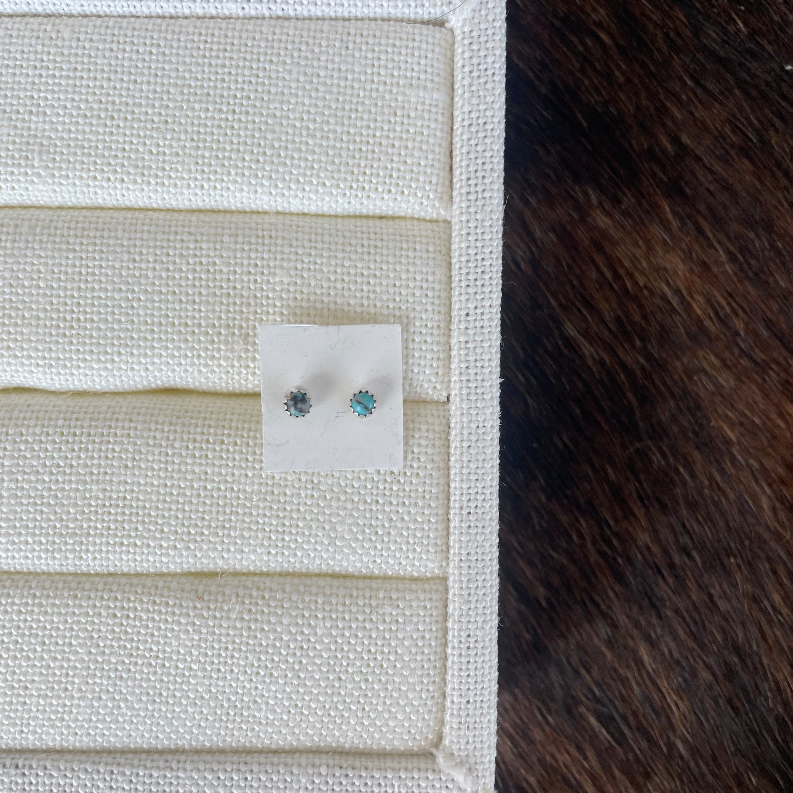 Coyote Studs